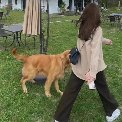 狐狸与猎狗